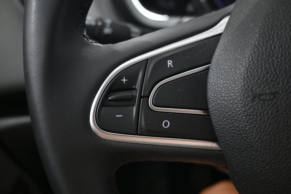 Foto Renault Scénic 19